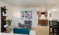 Studio Apartments In Buffalo Sheridan Residence Living Room