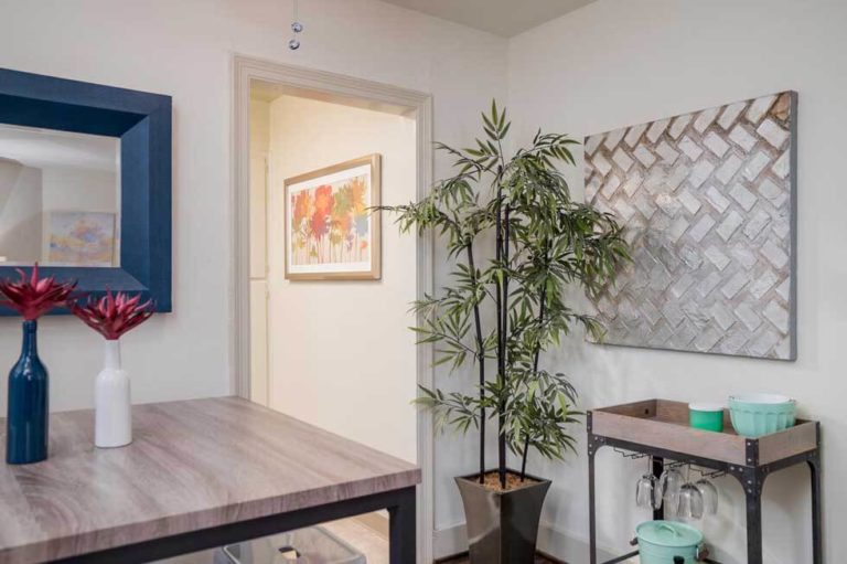 Delaware Park Apartments North Buffalo Apartments For Rent