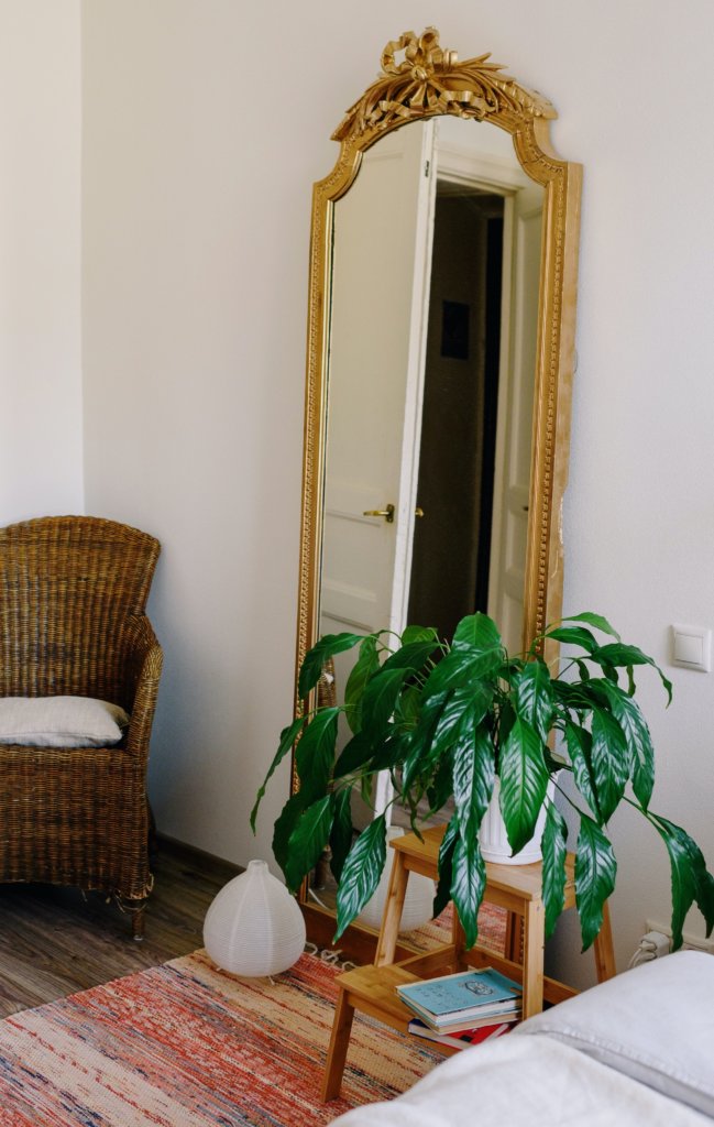 Accent Mirror in Apartment