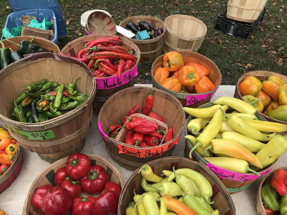 peppers at a farmers' market