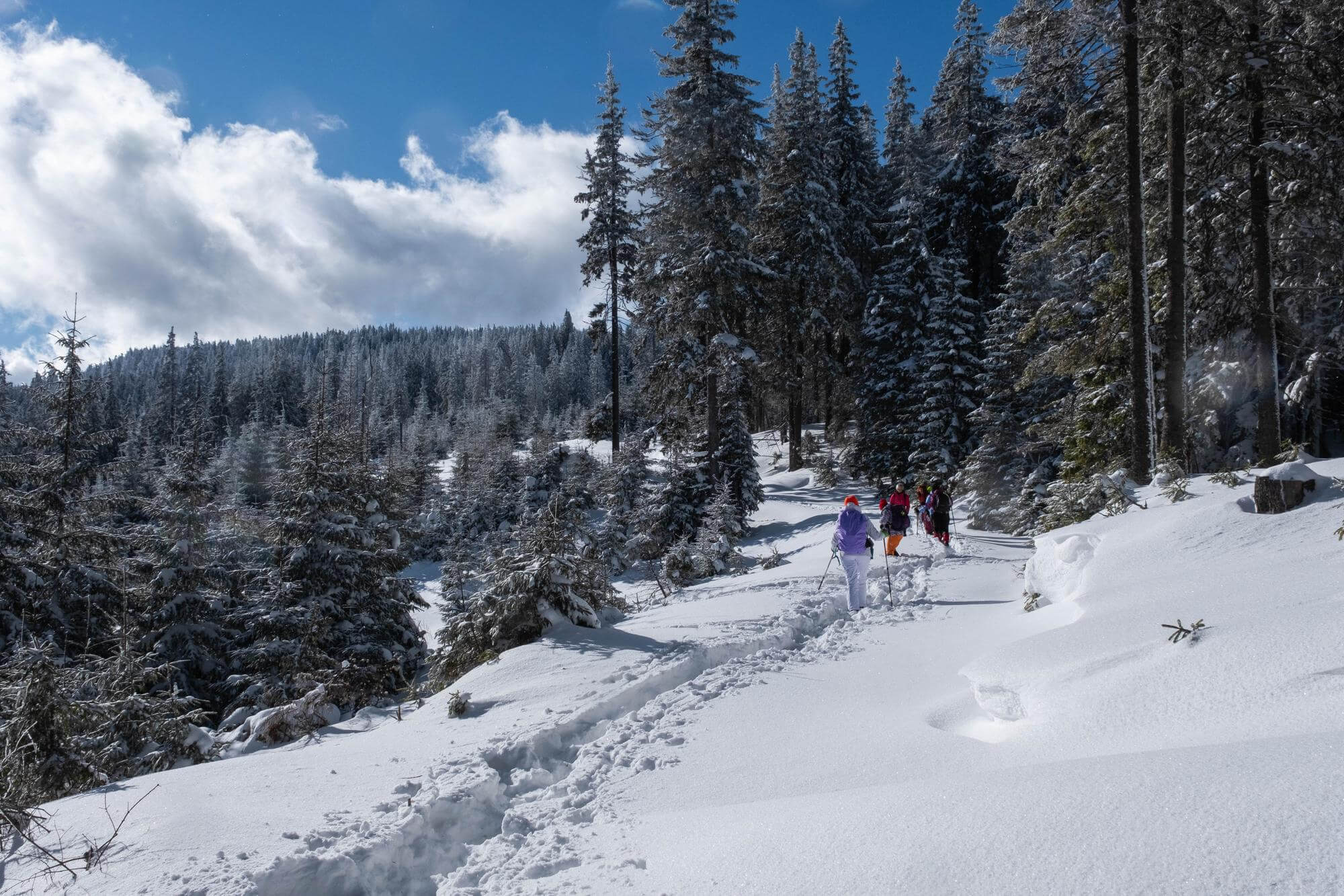 people hiking in snow during the winter