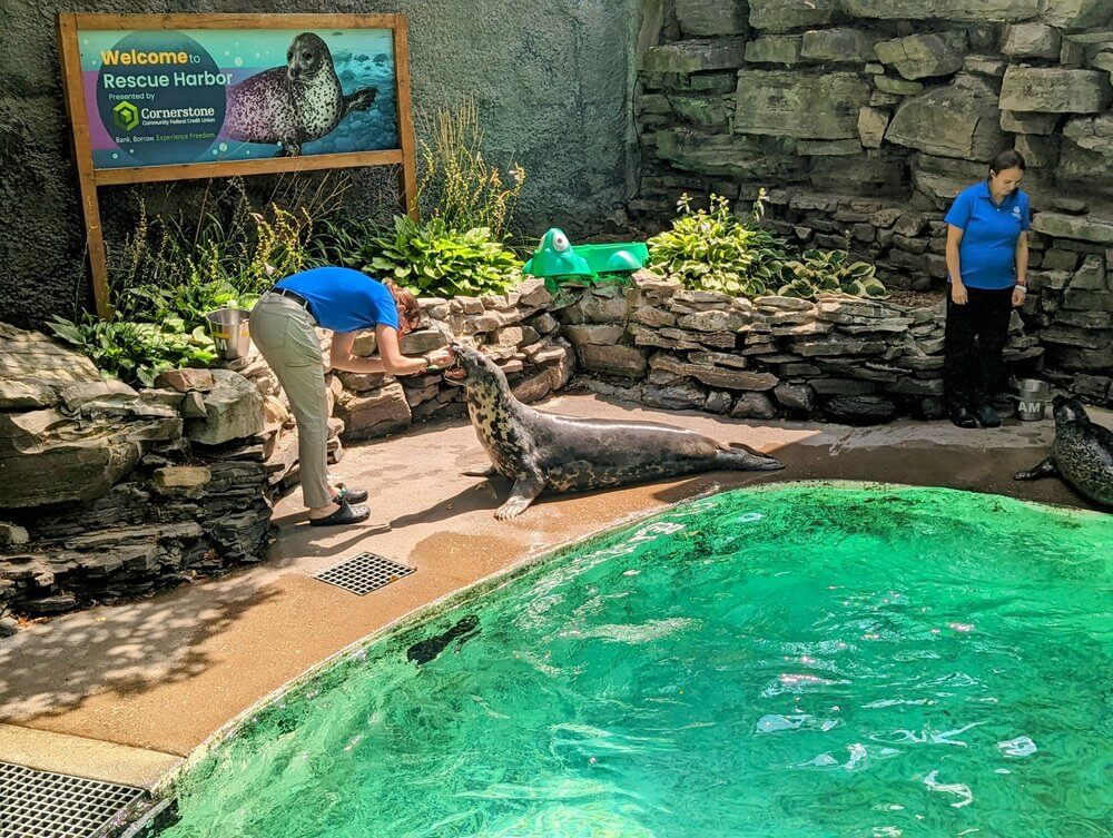 Aquarium of Niagara