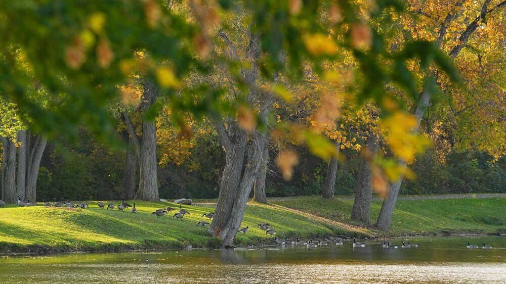 Bond Lake Park