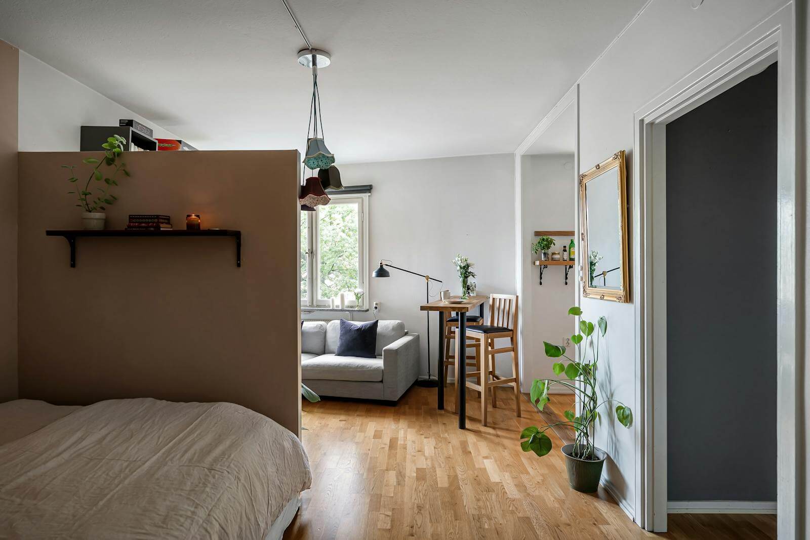 A cozy studio apartment featuring a low partition wall with a shelf of books and plants, an upholstered sofa, a small dining nook, hanging pendant lamps, and houseplants placed around the room