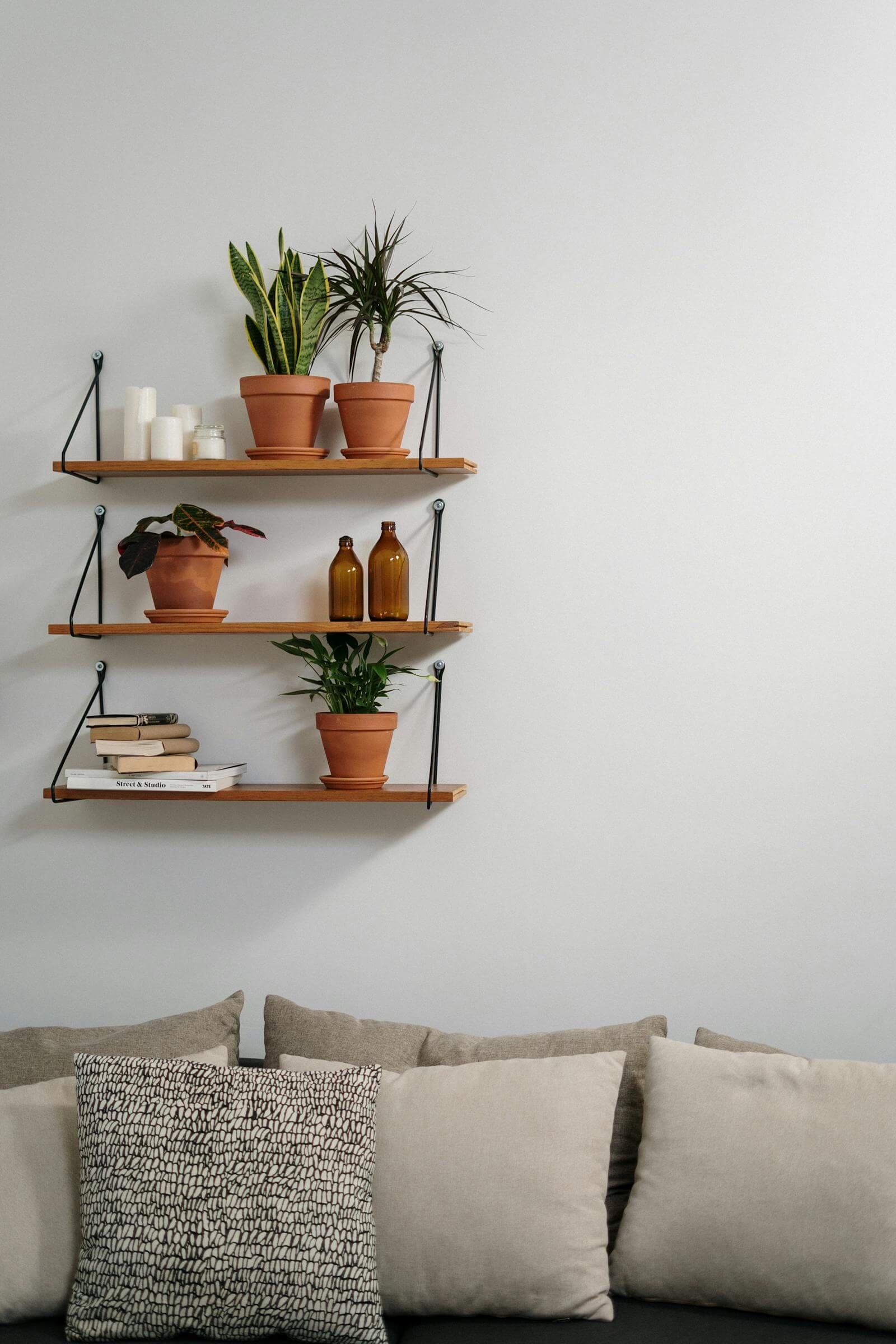 Three wooden floating shelves mounted above a sofa in a small apartment, holding potted plants, candles, books, and amber glass bottles