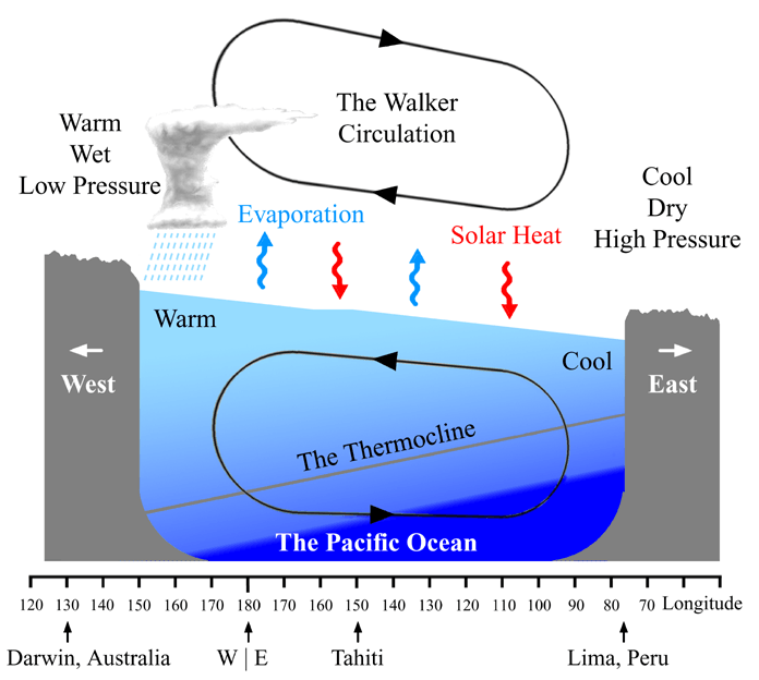 Cross-section diagram of the Pacific Ocean during La Niña showing the Walker Circulation, warm wet low pressure near Australia, cool dry high pressure near South America, and a steeply tilted thermocline