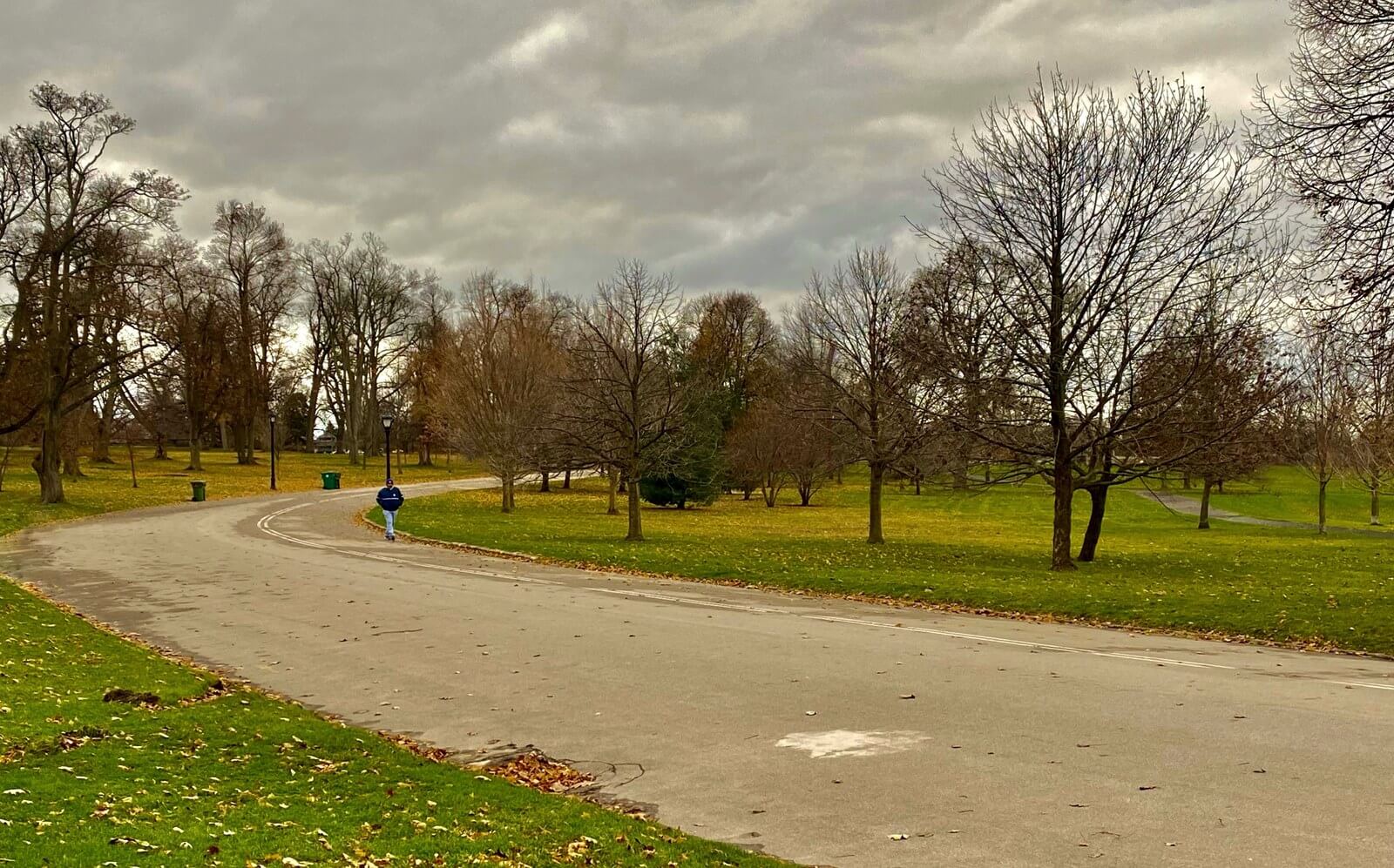 A single walker on the wide paved ring road of Delaware Park on an overcast late-autumn day, with bare trees and open grass on either side