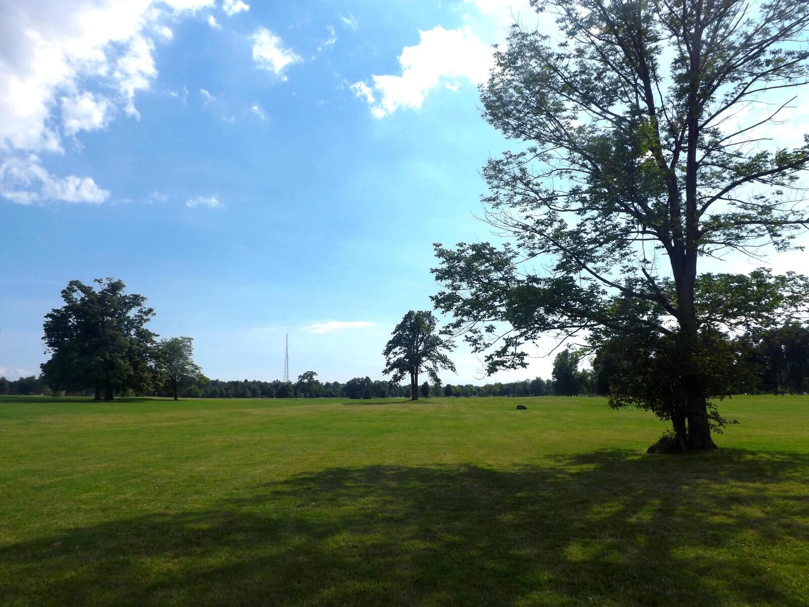 A wide open green meadow in Delaware Park with a large spreading tree in the foreground, a distant tree line, and blue sky with scattered clouds