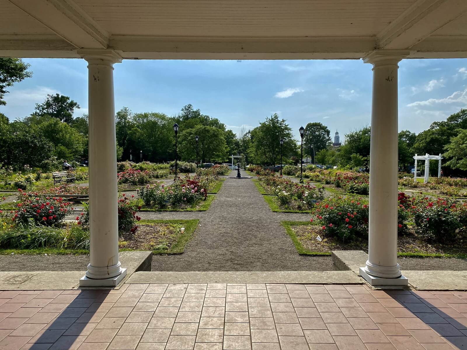Looking out between the white columns of the pergola at the Delaware Park Rose Garden along a symmetrical gravel path lined with rose beds in bloom
