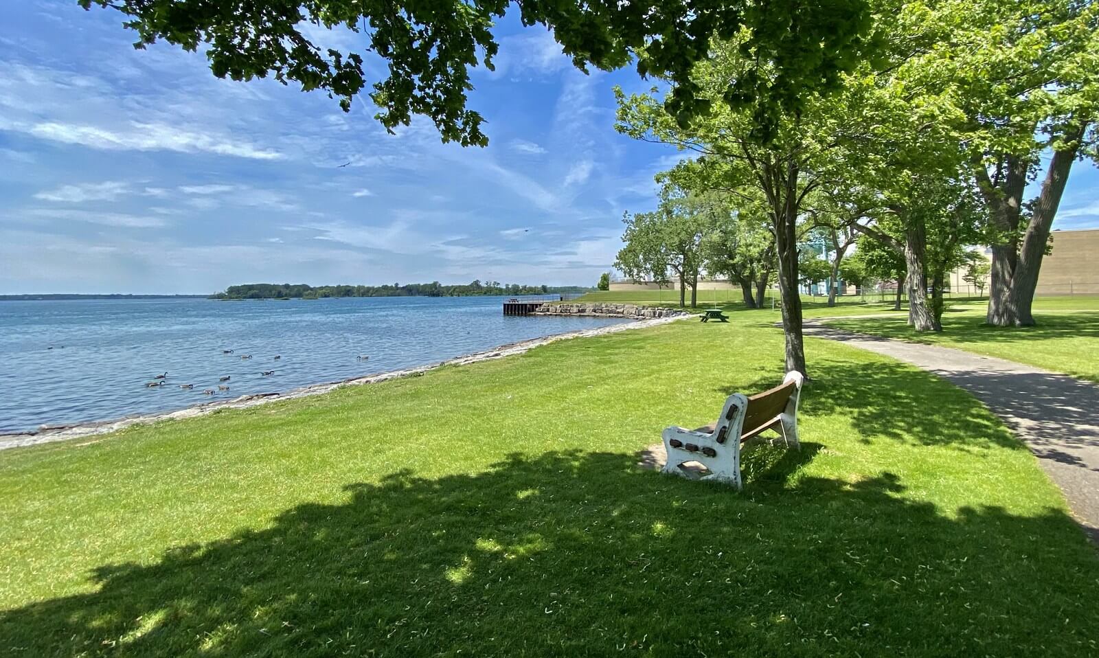 A white bench in the shade of a large tree on a green lawn beside the Niagara River in Tonawanda, with a paved path running along the water's edge