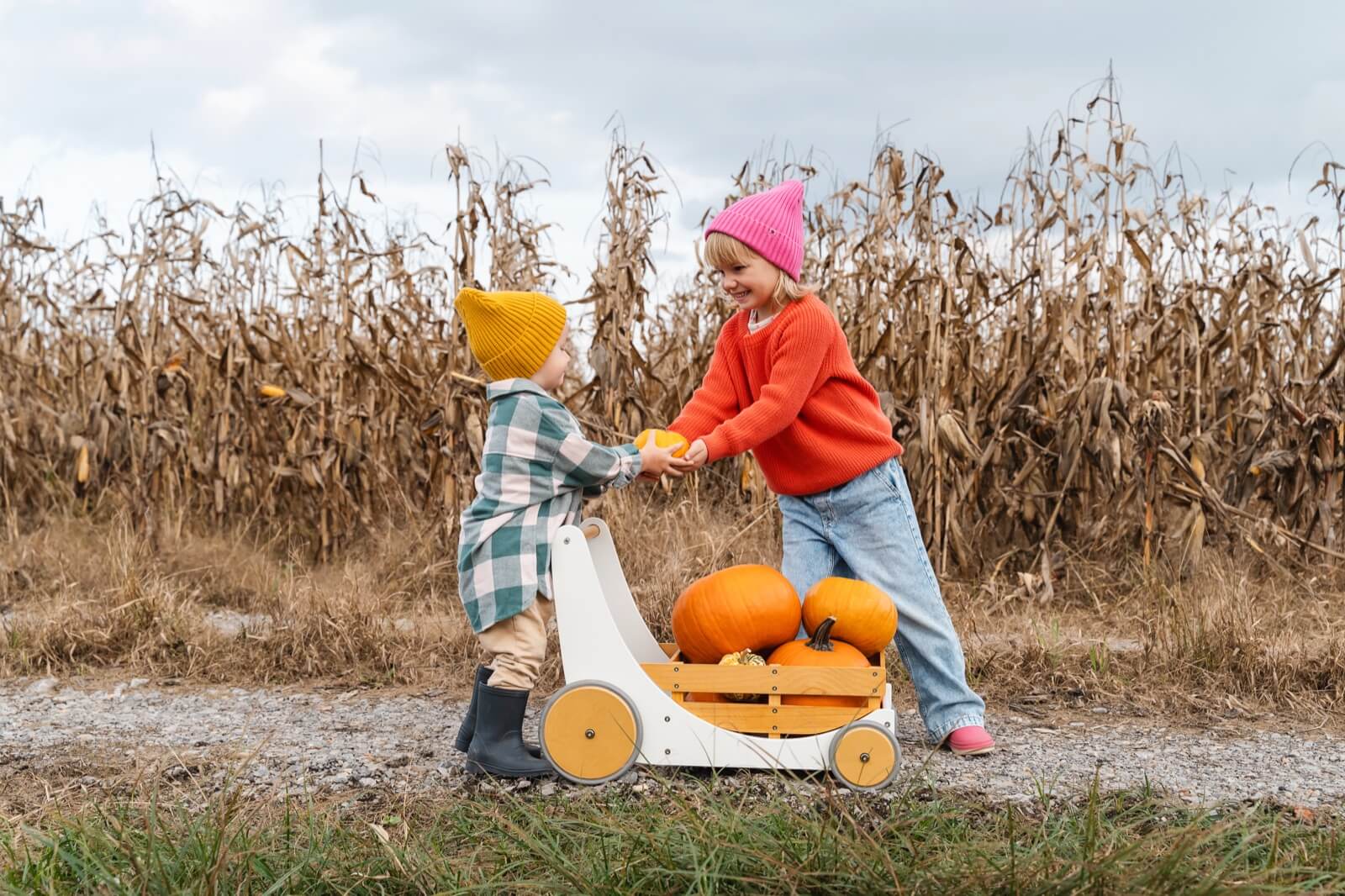 Two small children in knit hats loading pumpkins into a wooden wagon in front of a row of dry corn stalks